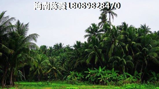 常識(shí)：經(jīng)濟(jì)適用房和昌江商品房的區(qū)別有哪些？