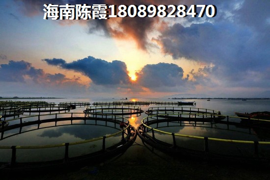 板樓和塔樓有什么區(qū)別？各有哪些優(yōu)點(diǎn)？