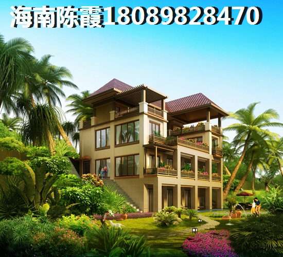 桐木關正宗正山小種