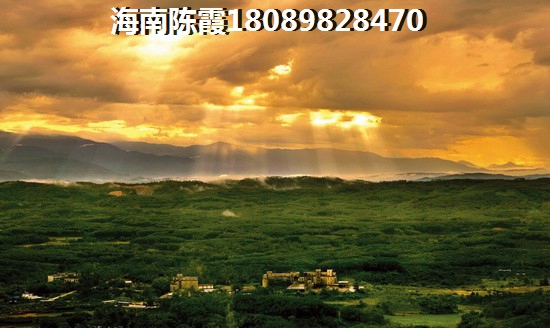 三年歌表達(dá)什么意思